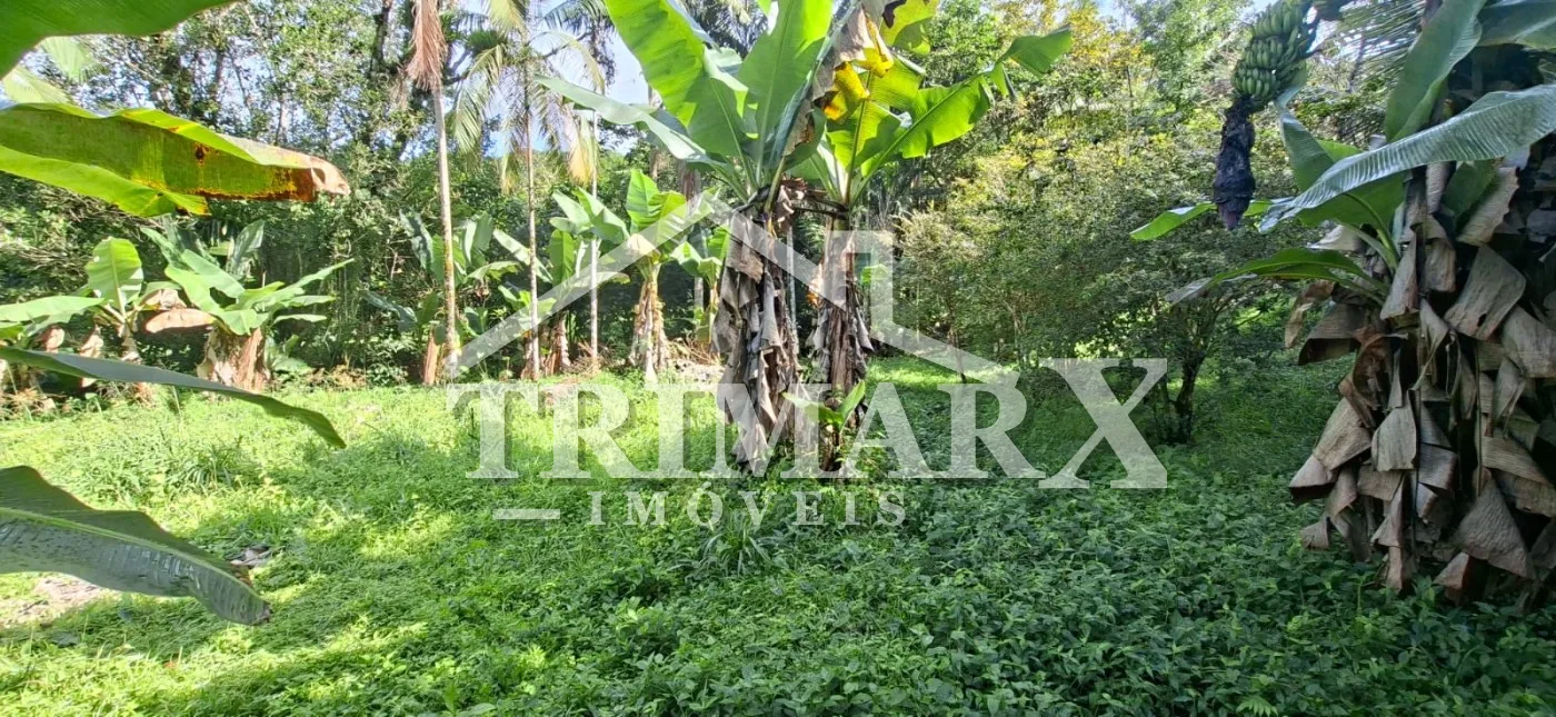 Terreno de chácara murado à venda no Parque Serra Mar, Ana Dias / Itariri-SP