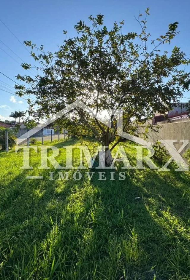 Terreno para Venda — Jamaica, Itanhaém — foto 2