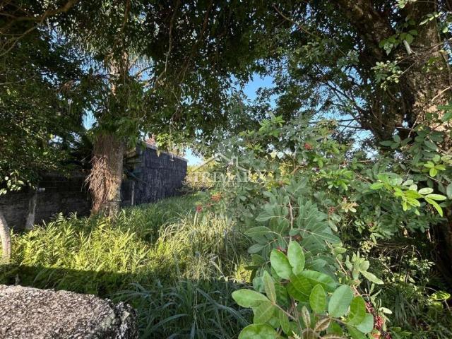 Terreno para Venda — Balneário Gaivota, Itanhaém — foto 2
