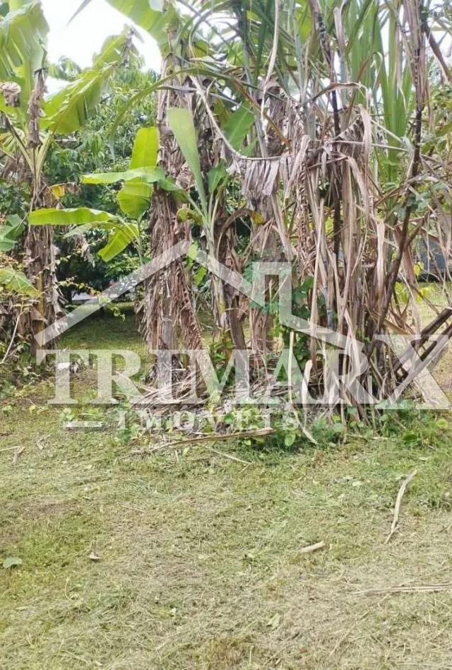 Terreno para Venda — Jardim das Palmeiras, Itanhaém — foto 3