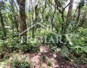 Chácara para Venda — Balneário Gaivota, Itanhaém — foto 5