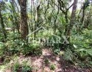 Chácara para Venda — Balneário Gaivota, Itanhaém — foto 5