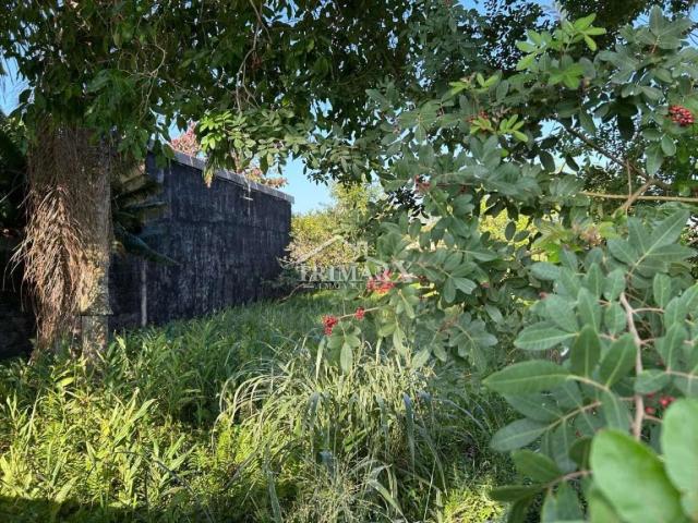 Terreno para Venda — Balneário Gaivota, Itanhaém — foto 3