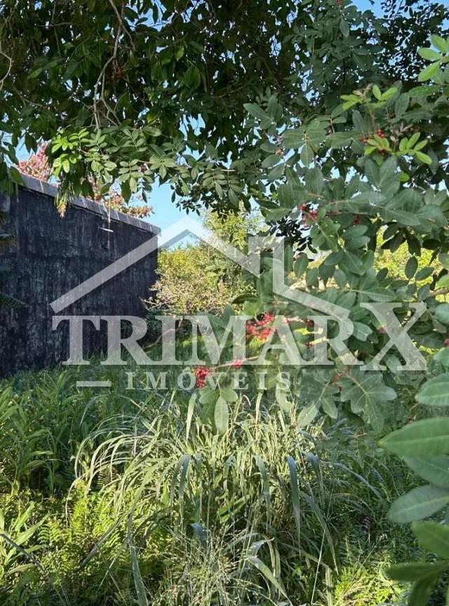 Terreno para Venda — Balneário Gaivota, Itanhaém — foto 3