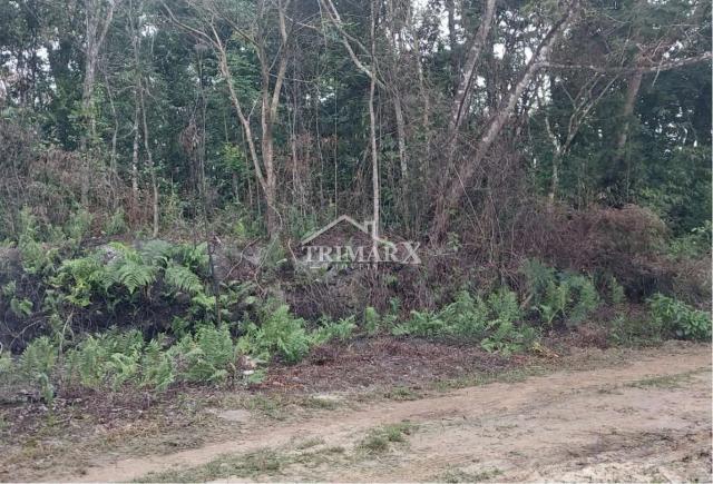 Chácara para Venda — Jardim São Fernando, Itanhaém