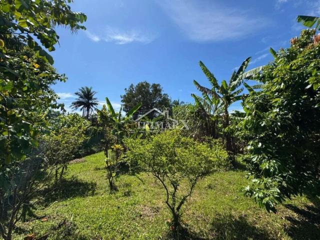 Terreno para Venda — Jardim das Palmeiras, Itanhaém — foto 3