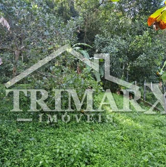 Terreno de chácara murado à venda no Parque Serra Mar, Ana Dias / Itariri-SP — foto 4