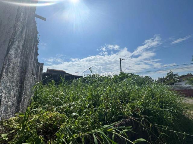 Terreno para Venda — PARQUE AUGUSTUS, Itanhaém — foto 3