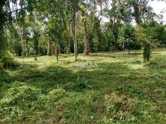 Terreno para Venda — PARQUE VERGARA, Itanhaém