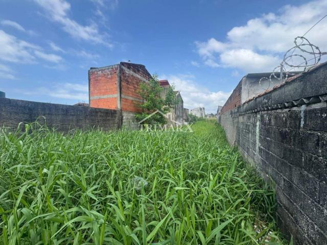Terreno para Venda — CIBRATEL 1, Itanhaém — foto 4