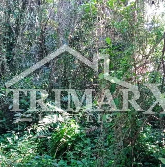 Chácara para Venda — JARDIM CORONEL, Itanhaém — foto 2