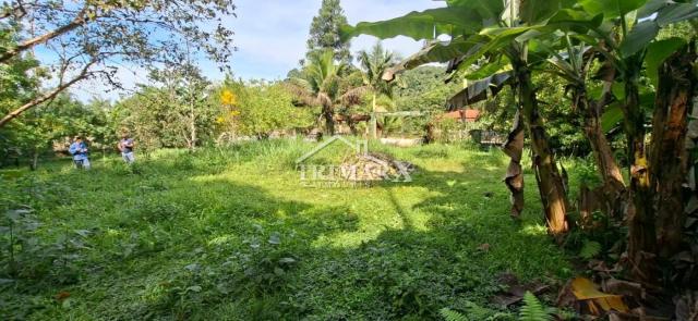 Terreno de chácara murado à venda no Parque Serra Mar, Ana Dias / Itariri-SP — foto 3