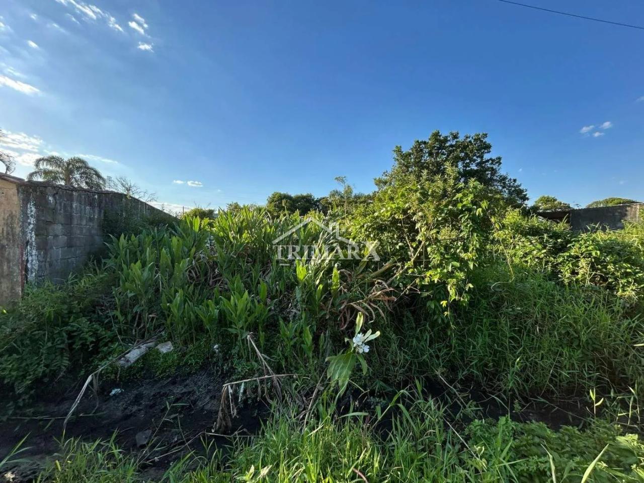 Terreno para Venda — Jardim das Palmeiras, Itanhaém — foto 1