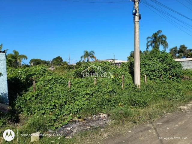 Terreno para Venda — Jardim das Palmeiras, Itanhaém — foto 4