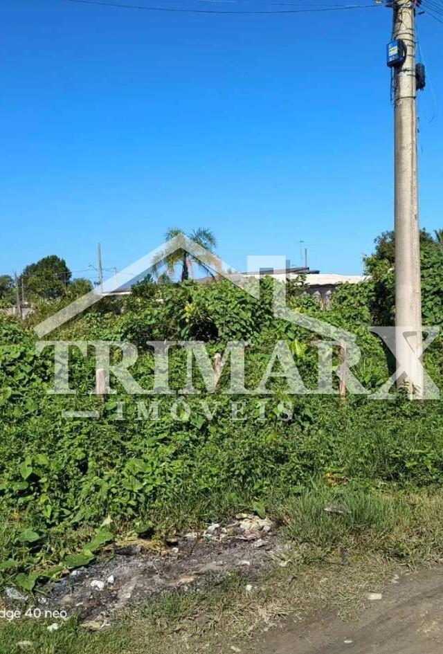 Terreno para Venda — Jardim das Palmeiras, Itanhaém — foto 4