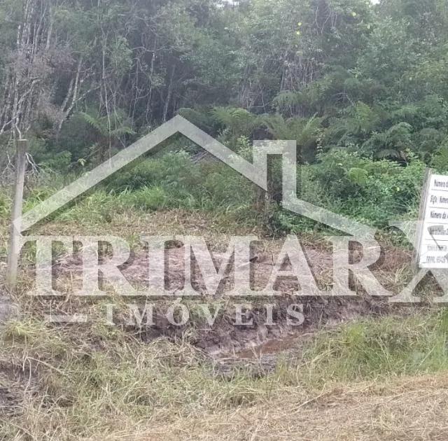 Terreno para Venda — INDAIÁ, Itanhaém — foto 4