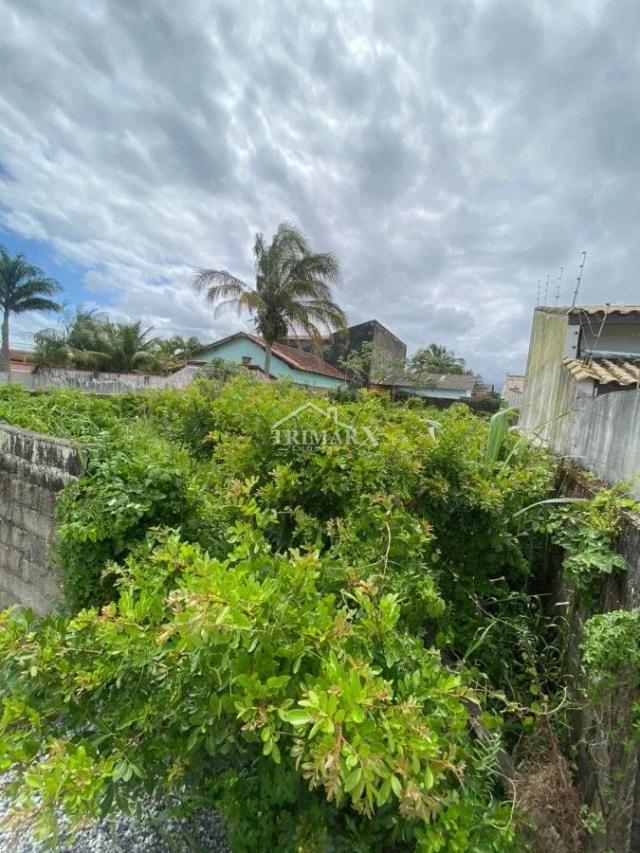 Terreno para Venda — Luizamar Mirim, Itanhaém — foto 3
