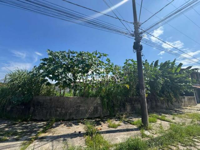 Terreno para Venda — PARQUE AUGUSTUS, Itanhaém — foto 4