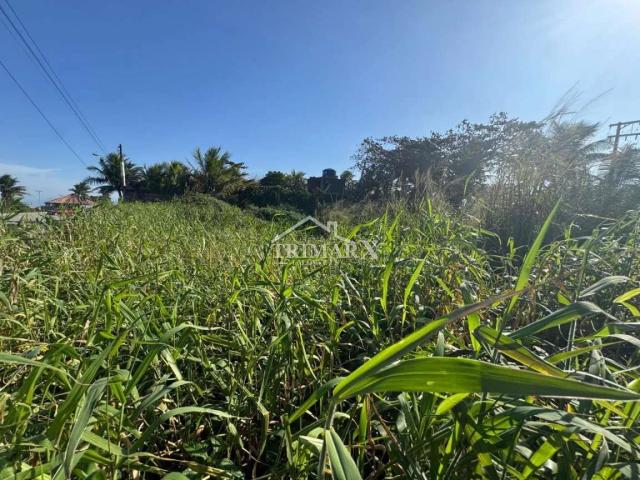 Terreno para Venda — Balneário Gaivota, Itanhaém — foto 3