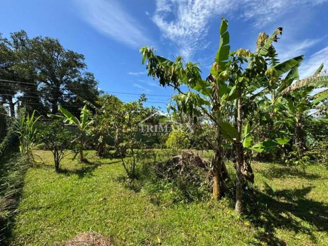 Terreno para Venda — Jardim das Palmeiras, Itanhaém — foto 5