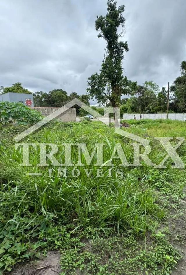 Terreno para Venda — Chácaras Itamar, Itanhaém — foto 4