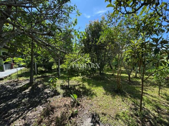 Terreno para Venda — Jardim das Palmeiras, Itanhaém — foto 5