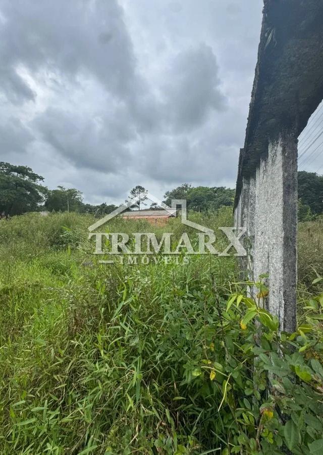 Terreno para Venda — JARDIM CORONEL, Itanhaém — foto 5