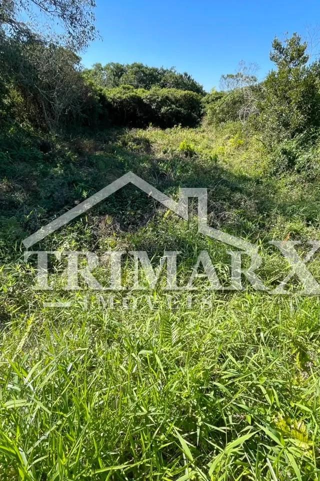 Terreno para Venda — foto 4
