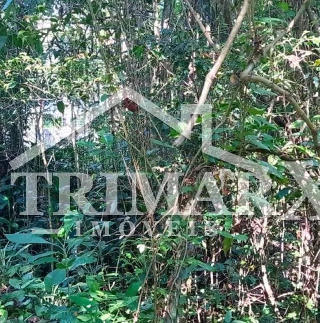 Chácara para Venda — JARDIM CORONEL, Itanhaém — foto 5