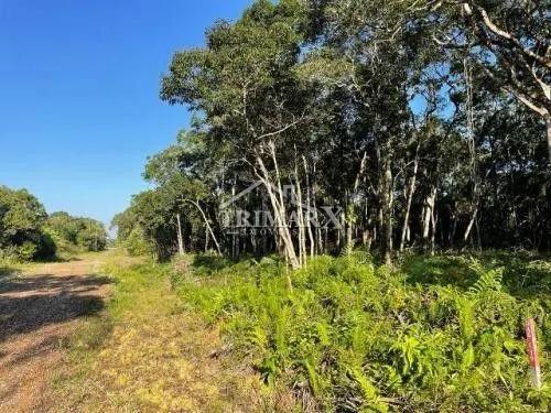 Terreno para Venda — JARDIM ANCHIETA, Itanhaém — foto 5