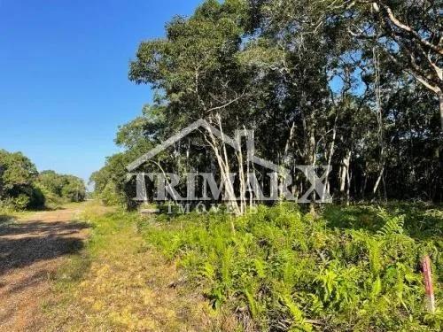 Terreno para Venda — JARDIM ANCHIETA, Itanhaém — foto 5