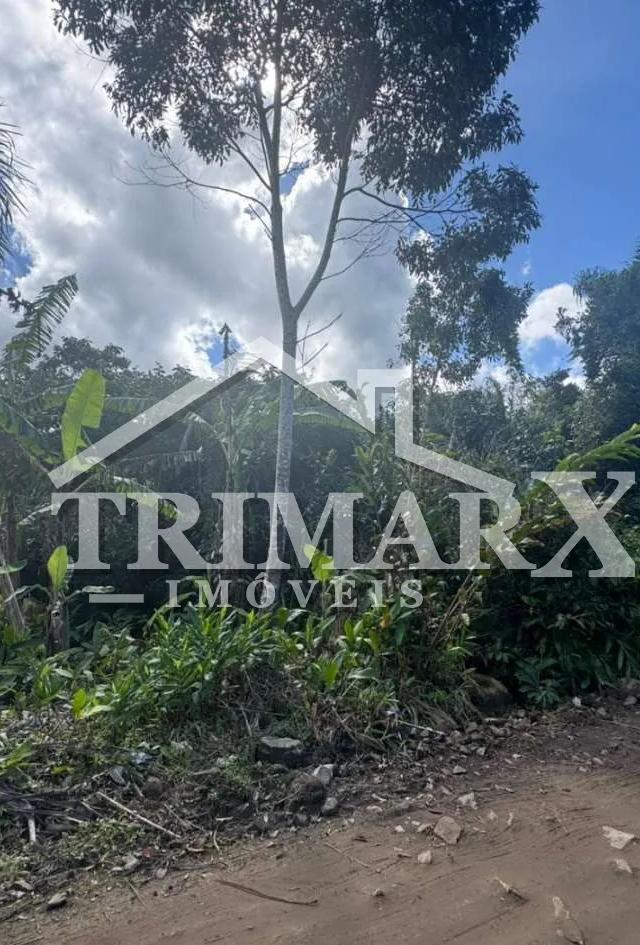 Terreno para Venda — Guaraú, Peruíbe — foto 4