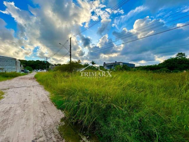 Terreno para Venda — CHÁCARAS CIBRATEL, Itanhaém — foto 3