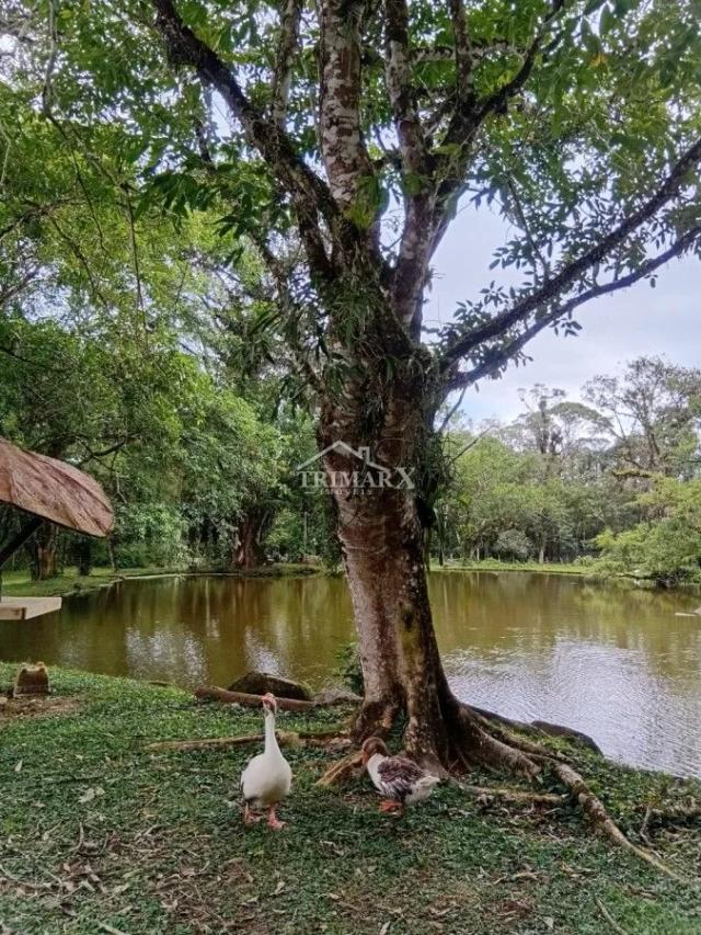 Chácara para Venda — Guaraú, Peruíbe — foto 2