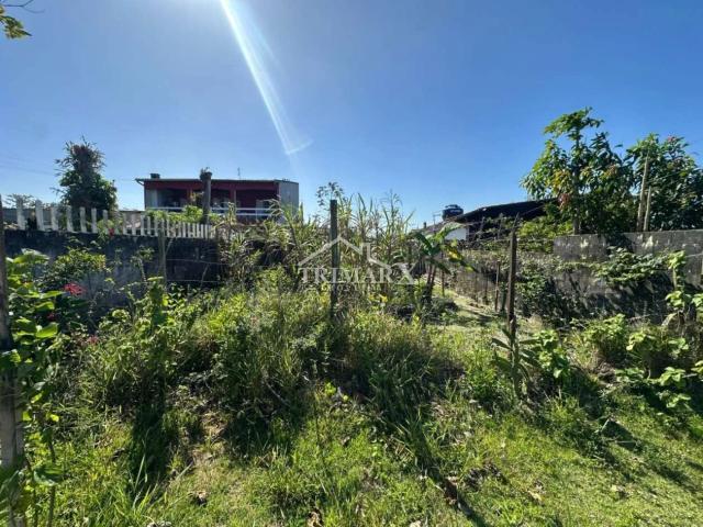 Terreno para Venda — Jardim Regina, Itanhaém — foto 4