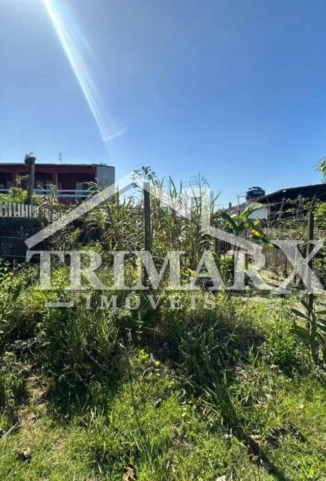 Terreno para Venda — Jardim Regina, Itanhaém — foto 4