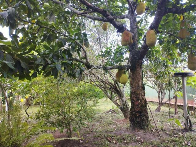Terreno para Venda — Jardim das Palmeiras, Itanhaém — foto 4