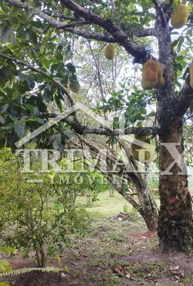 Terreno para Venda — Jardim das Palmeiras, Itanhaém — foto 4