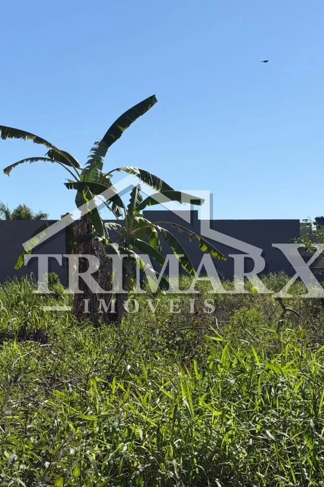 Terreno para Venda — foto 4