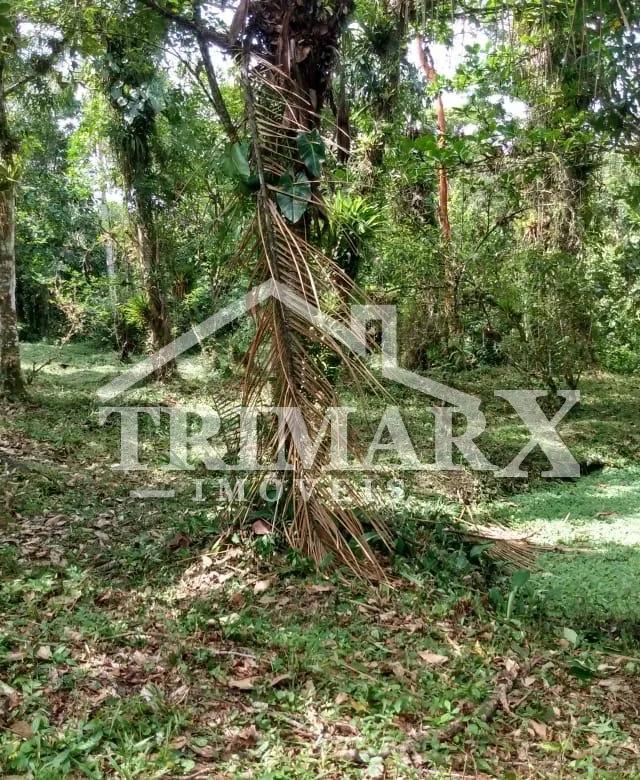 Terreno para Venda — PARQUE VERGARA, Itanhaém — foto 4