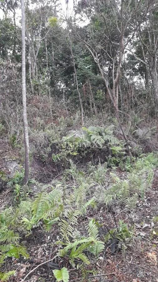 Chácara para Venda — Jardim São Fernando, Itanhaém — foto 3