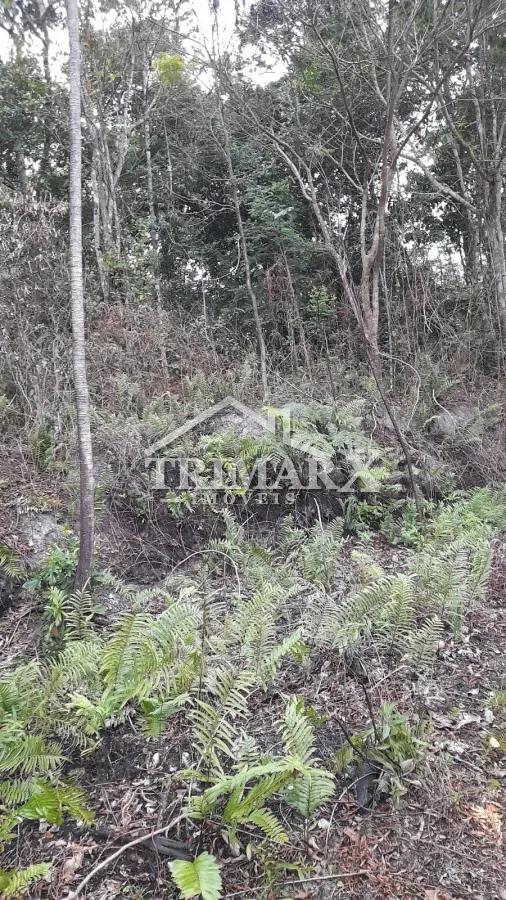Chácara para Venda — Jardim São Fernando, Itanhaém — foto 3