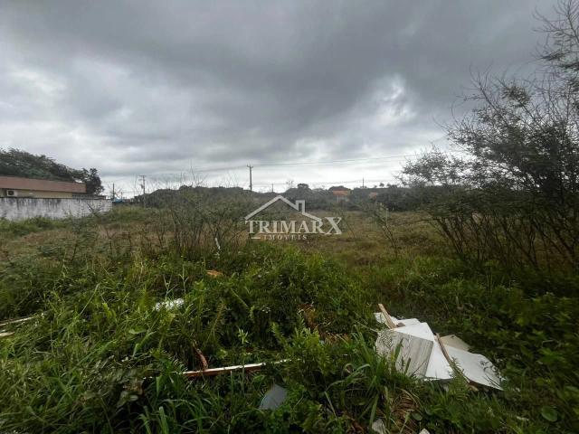 Terreno para Venda — PARQUE AUGUSTUS, Itanhaém — foto 4