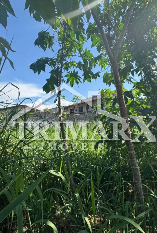 Terreno para Venda — PARQUE AUGUSTUS, Itanhaém — foto 5