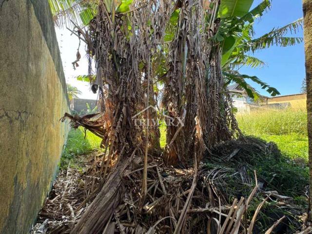 Terreno para Venda — Balneário Helena Novaes, Peruíbe — foto 2