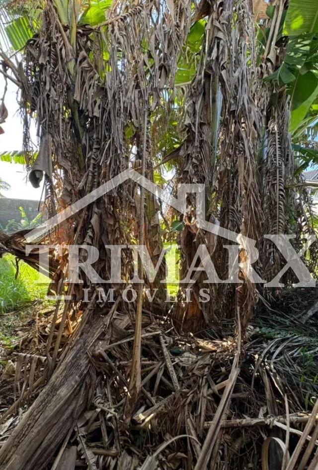 Terreno para Venda — Balneário Helena Novaes, Peruíbe — foto 2
