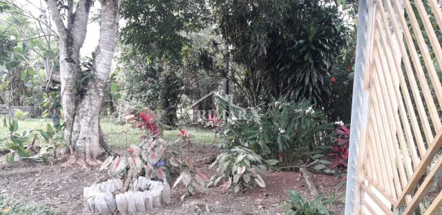 Chácara em Estrada Armando cunha, em Peruíbe, no litoral sul de São Paulo, lado serra, á 8 km da rodovia, em rua de terra. Imóvel com 214.000 m² de área total. — foto 5
